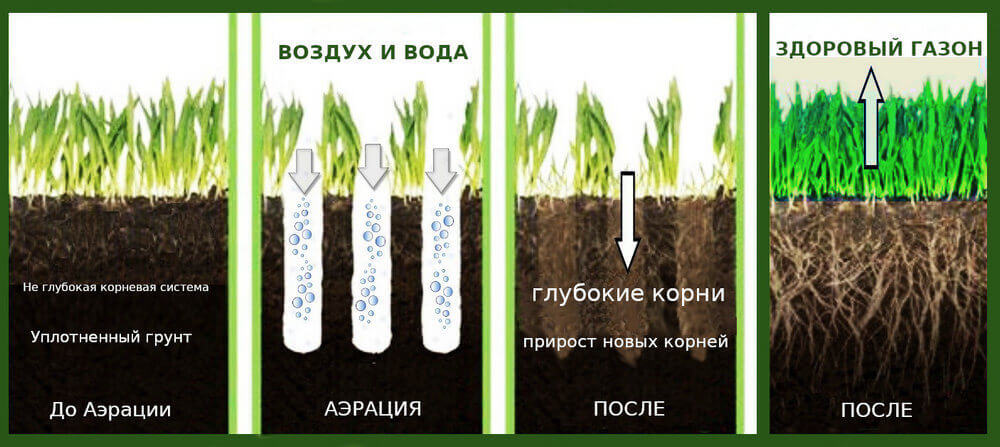 Аэрация и скарификация газона